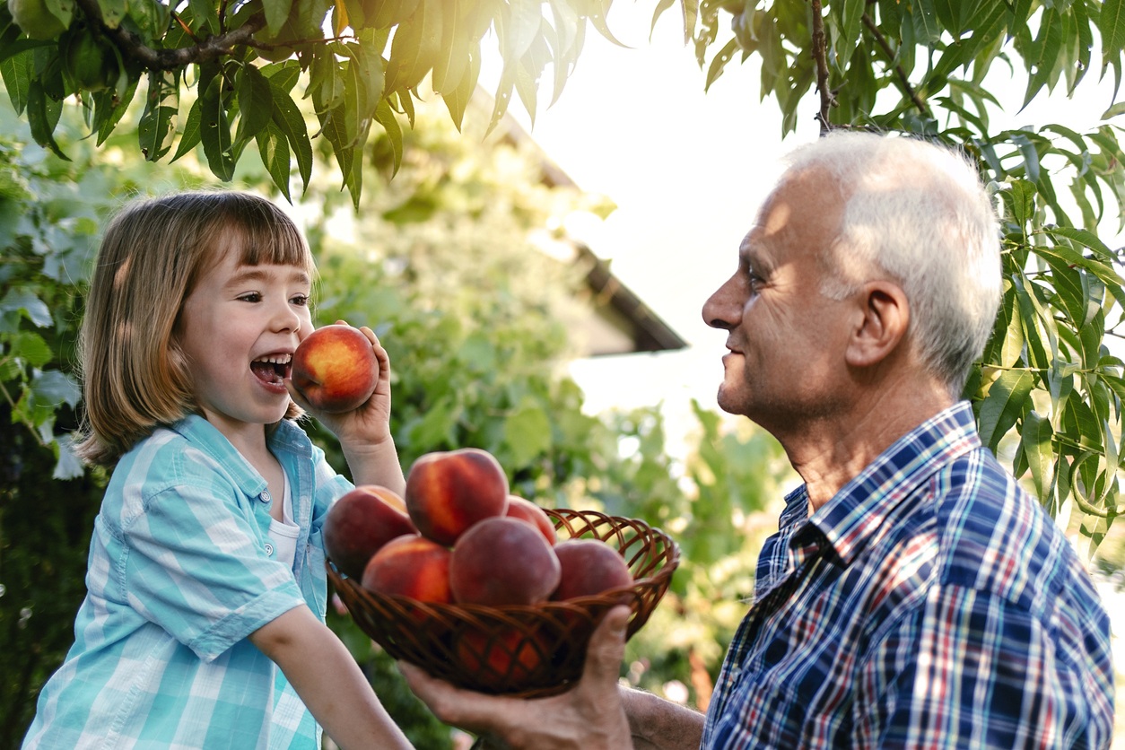 Georgia Air’s New Online HVAC Orchard