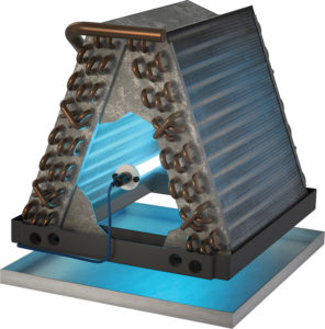 A-frame evaporator coil with UV light for HVAC system